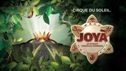 The 10-Year Partnership Of VidantaWorld And Cirque du Soleil
